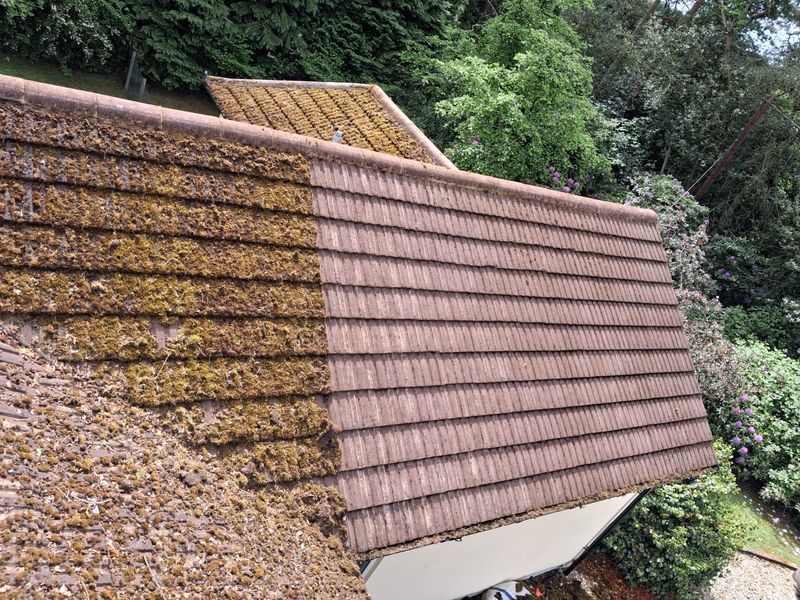 Roof Cleaning & Protection